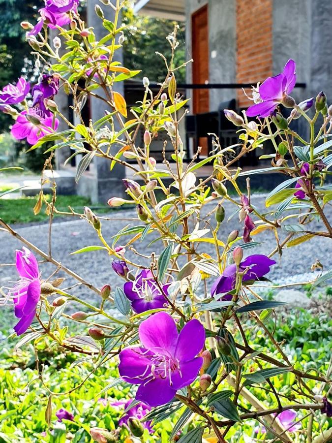 B-Tel Chomthong Resort Chiang Mai Chom Thong Exteriör bild